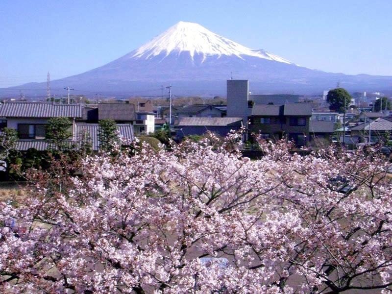 富士公园酒店 富士市 外观 照片